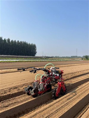Skop Ta 'Applikazzjoni Għal Qsari tal-Ħxejjex